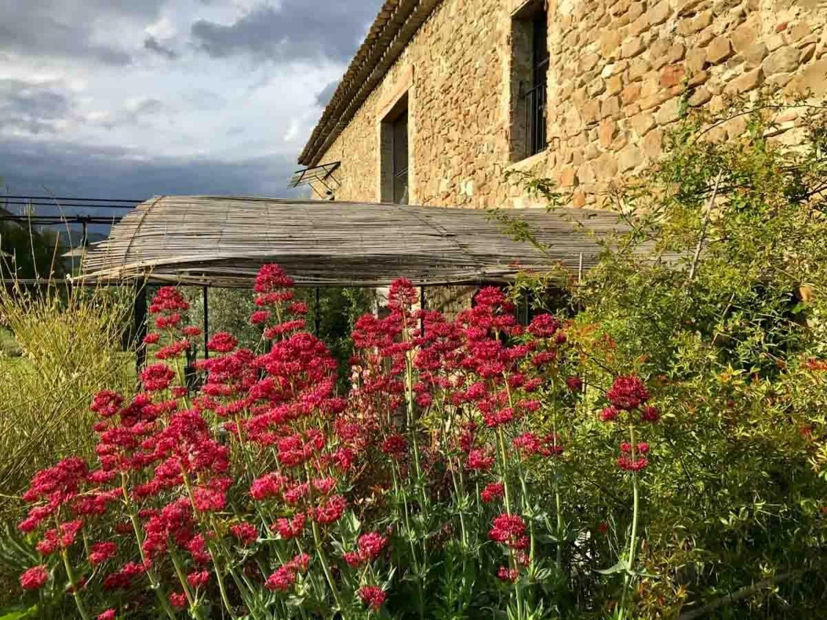 Villa La Demoiselle à Puy-Saint-Martin Extérieur photo